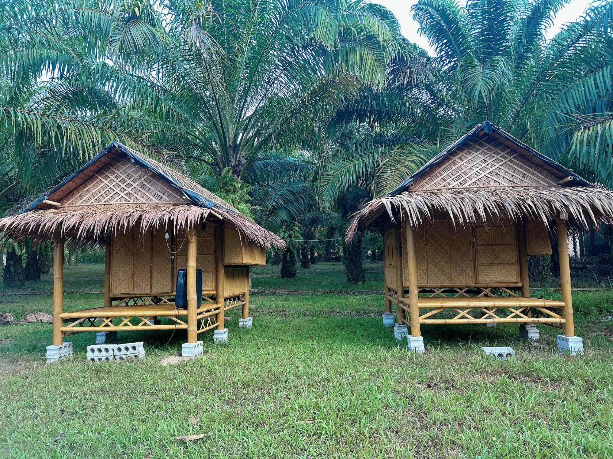 Готель Khaosok August Freedom Camp Khao Sok National Park Екстер'єр фото